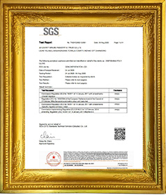  SGS. 