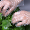 일회용 플라스틱 Hdpe 식품 주방 장갑